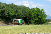 DE.520 Immagine Ferroviaria di Giuseppe Francabandiera