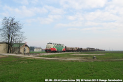 220 Immagine Ferroviaria di Giuseppe Francabandiera