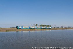 ALe 724 Immagine Ferroviaria di Giuseppe Francabandiera