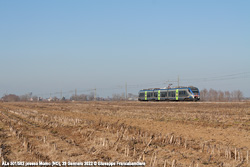 ALe 501/502 Foto Ferroviaria di Giuseppe Francabandiera