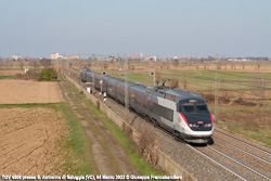 TGV Foto Ferroviaria di Giuseppe Francabandiera
