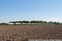 D318 Foto Ferroviaria di Giuseppe Francabandiera