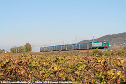 E464 Foto Ferroviaria di Giuseppe Francabandiera